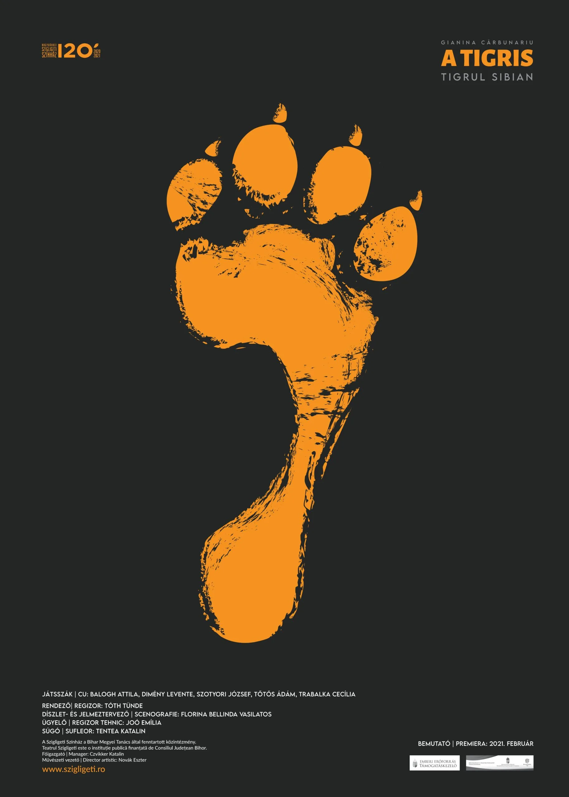 Gianina Cărbunariu: Tigris